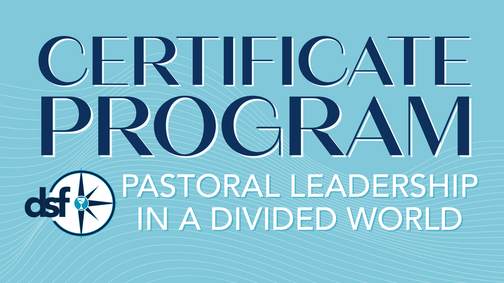 DSF Certificate Program image